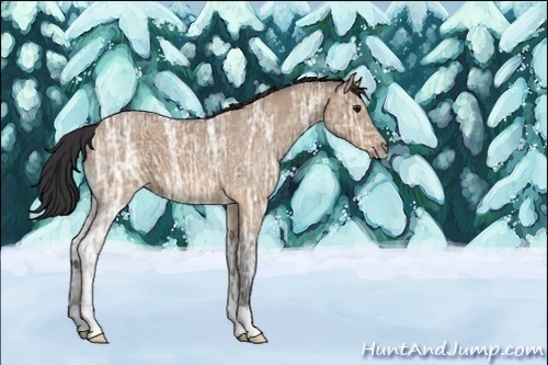 Horse Color:ERROR: UNKNOWN ANOMALY