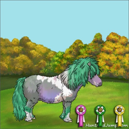 Horse Color:Nacre Watercolor White Spotted Bay Ice Sabino Appaloosa  and Watercolor Bay 