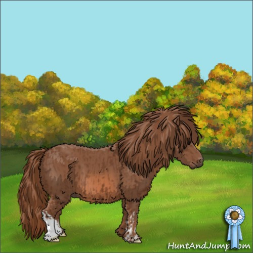 Horse Color:Chestnut  and Chestnut 