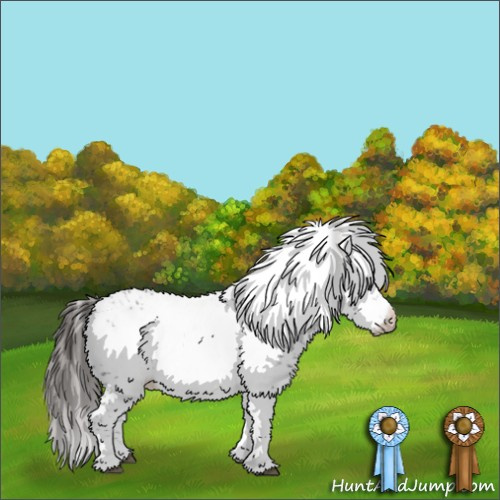 Horse Color:Liver Chestnut Frame 