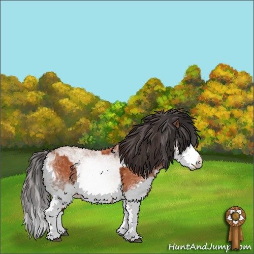 Horse Color:White Spotted Bay Splash Rabicano  and White Spotted Bay Splash Rabicano 