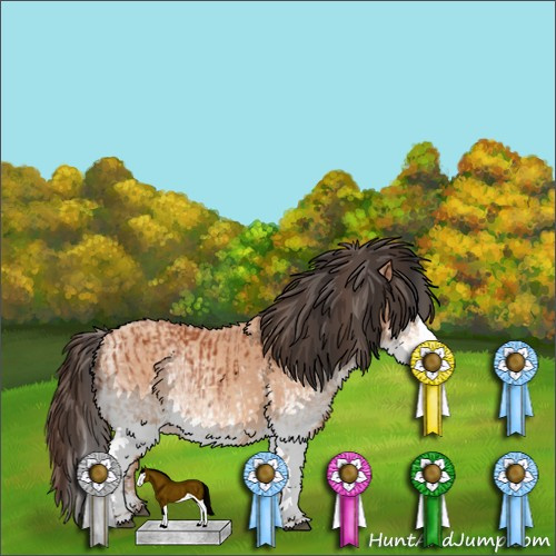 Horse Color:White Spotted Bay Splash  and White Spotted Amber Champagne Splash 