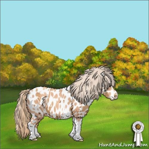 Horse Color:Gold Champagne Appaloosa  and Gold Champagne Appaloosa 