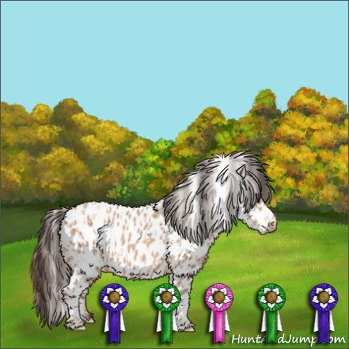 Horse Color:Amber Champagne Leopard  and Amber Champagne Leopard 