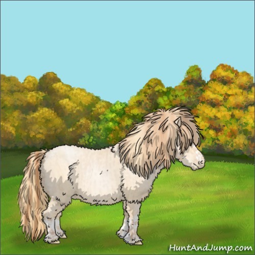 Horse Color:Buckskin Roan Pearl  and Buckskin Pearl 