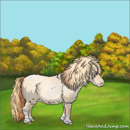 Horse Color:Buckskin Roan Pearl  and Buckskin Roan Pearl 