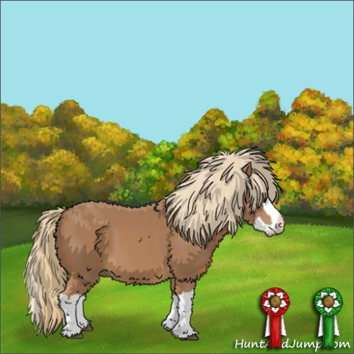 Horse Color:Chestnut Splash 