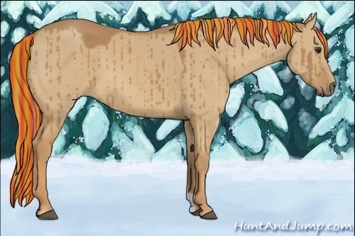 Horse Color:Painted Red Dun Brindle 