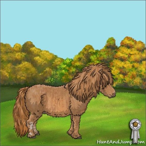Horse Color:Chestnut  Brindle