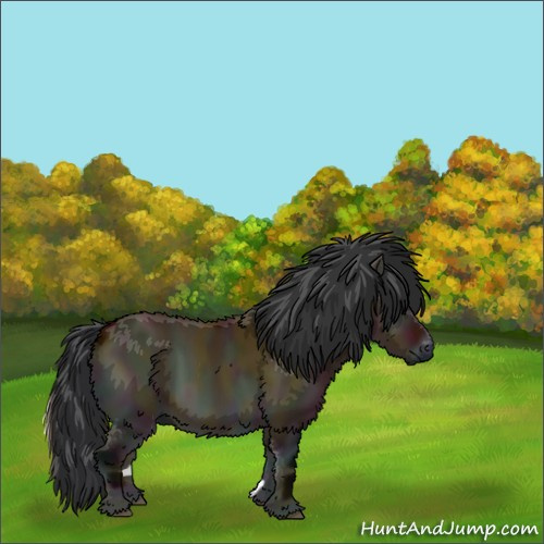 Horse Color:Midnight Bay Onyx Brindle 