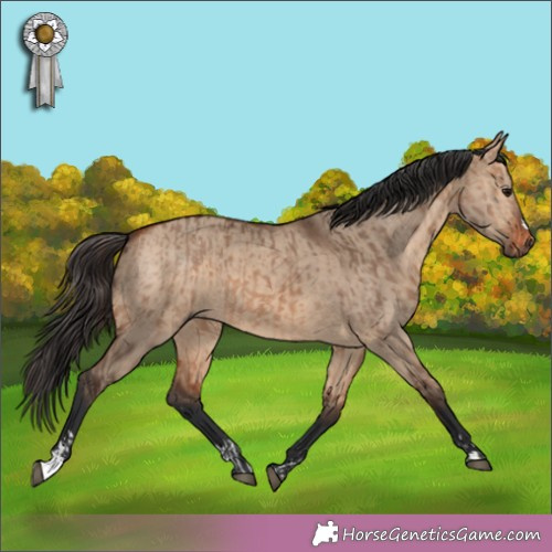 Horse Color:Bay Dun Brindle  and Bay Dun Brindle 