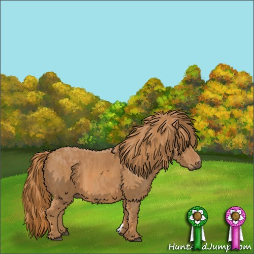 Horse Color:Chestnut  Brindle