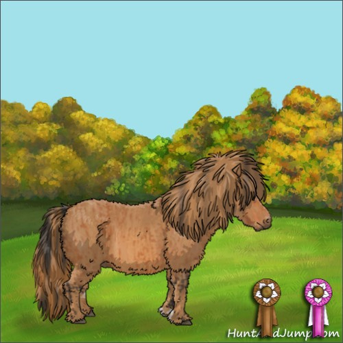 Horse Color:Bay  Brindle