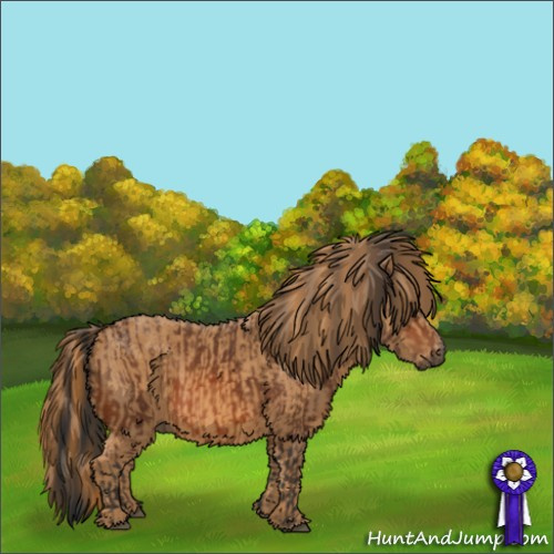 Horse Color:Bay  Brindle