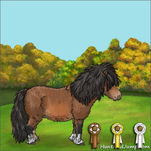 Horse Color:Bay  and Bay 