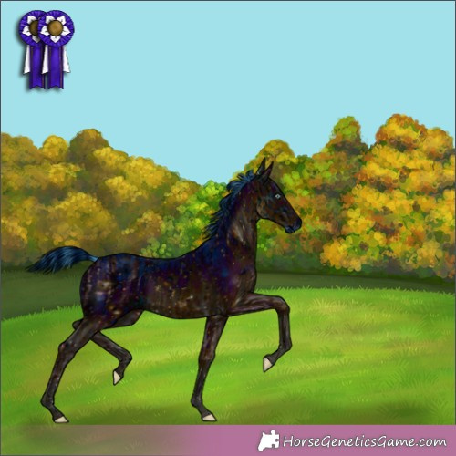 Horse Color:ERROR: UNKNOWN ANOMALY and ERROR: UNKNOWN ANOMALY
