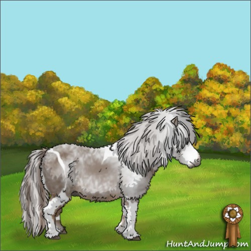 Horse Color:Gray Chestnut Splash Tobiano 