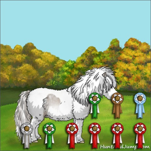 Horse Color:Gray Chestnut Splash Tobiano 