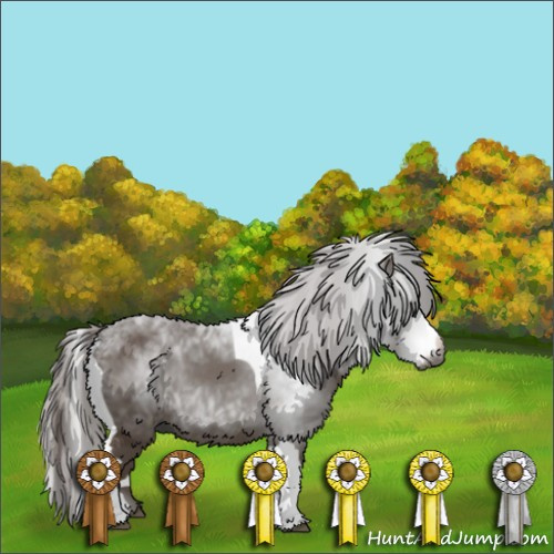 Horse Color:Gray Chestnut Splash Tobiano 