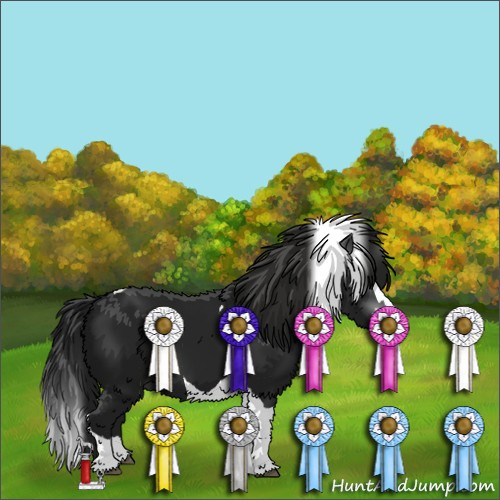 Horse Color:Gray Black Splash Tobiano 