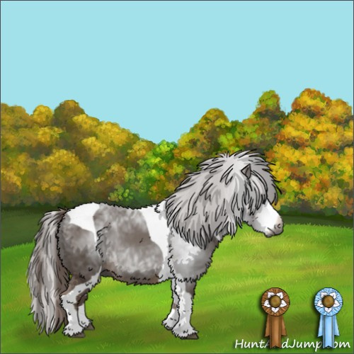 Horse Color:Gray Chestnut Splash Tobiano 