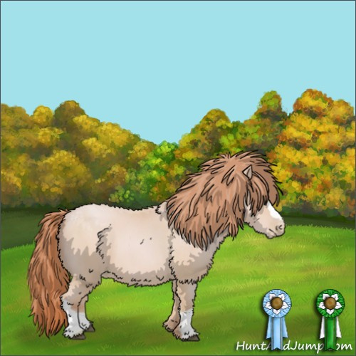 Horse Color:Buckskin Pearl 