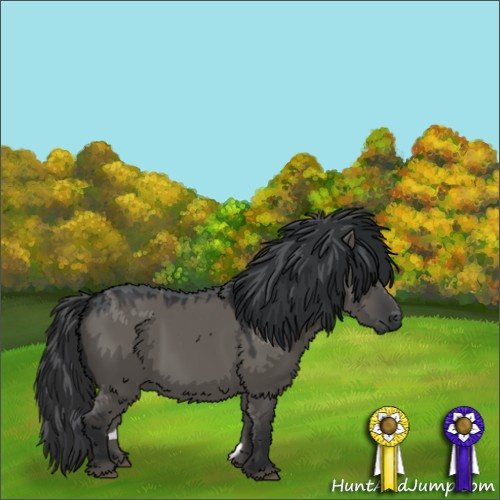 Horse Color:Grullo 