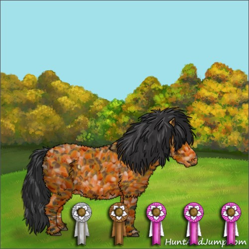 Horse Color:Bay Roan 