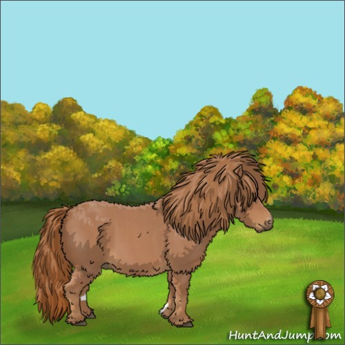 Horse Color:Red Roan 