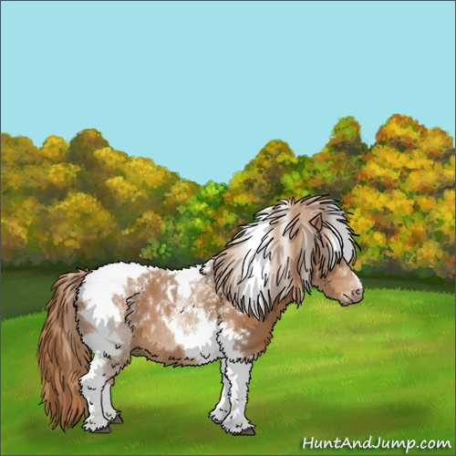 Horse Color:Chestnut Tobiano 