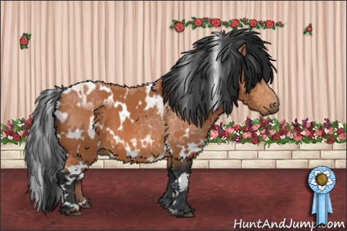 Horse Color:White Spotted Bay 