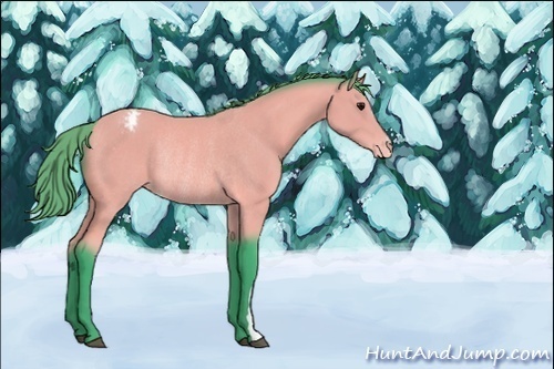 Horse Color:Unknown 