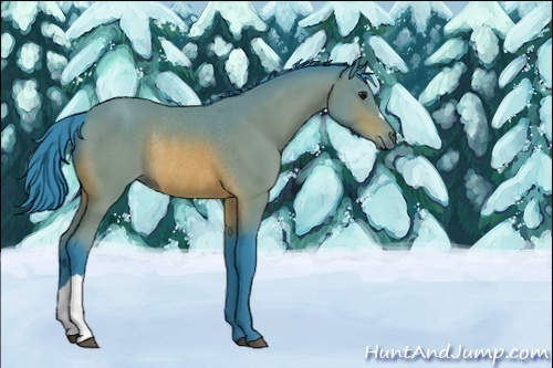 Horse Color:Unknown 