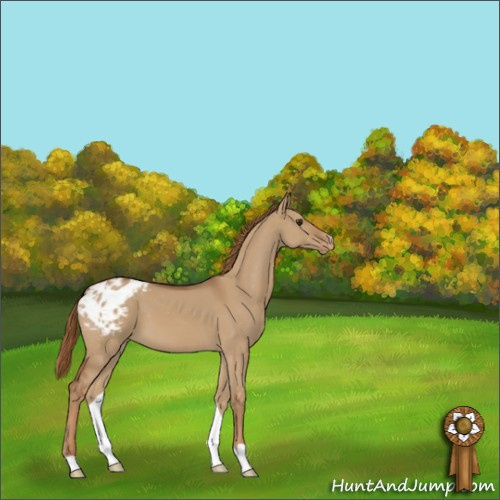 Horse Color:Unknown 