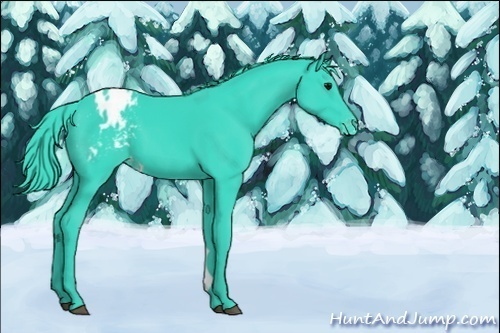 Horse Color:Unknown 