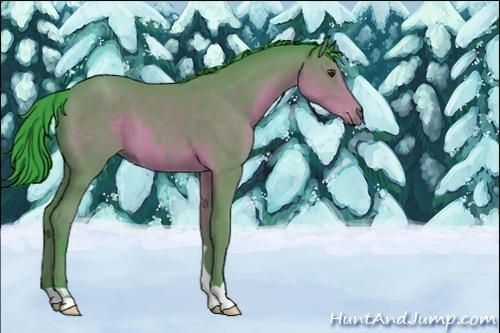 Horse Color:Unknown 
