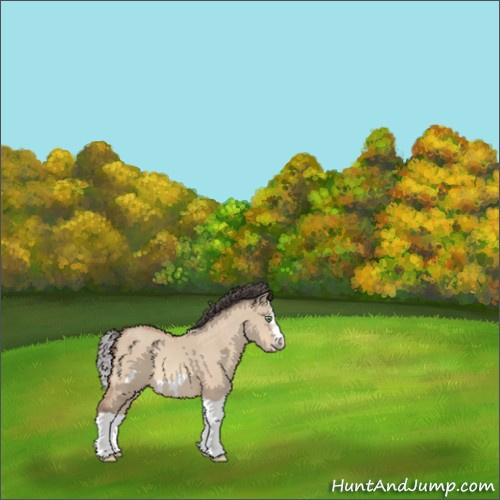 Horse Color:Unknown 