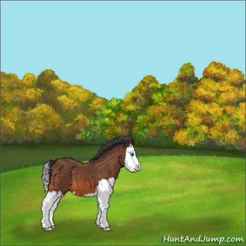 Horse Color:Unknown 