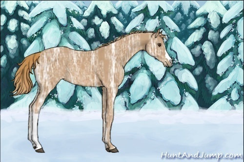 Horse Color:Chestnut Ice 