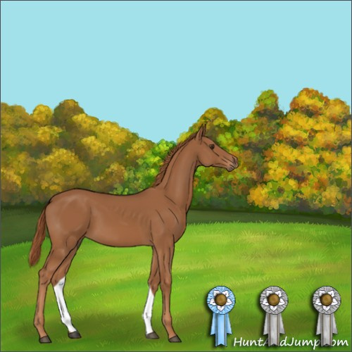 Horse Color:Chestnut 
