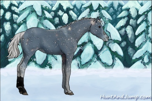 Horse Color:ERROR: UNKNOWN ANOMALY