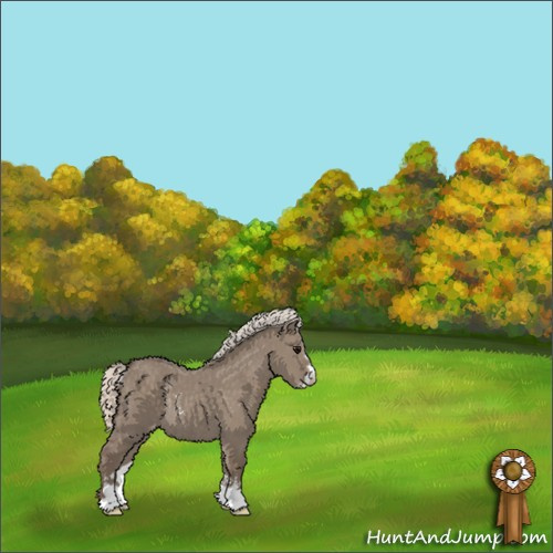 Horse Color:Silver Grullo Sabino Varnish Rabicano 