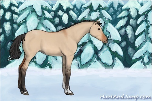 Horse Color:Bay Roan Dun Sabino 