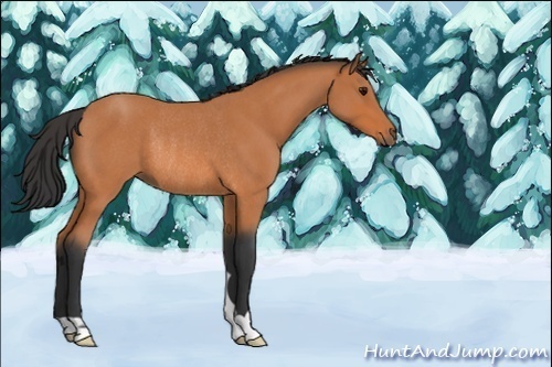 Horse Color:Bay Roan Rabicano 