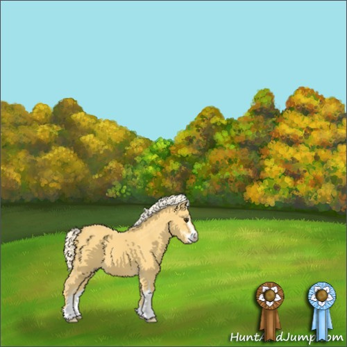 Horse Color:Palomino Sabino 
