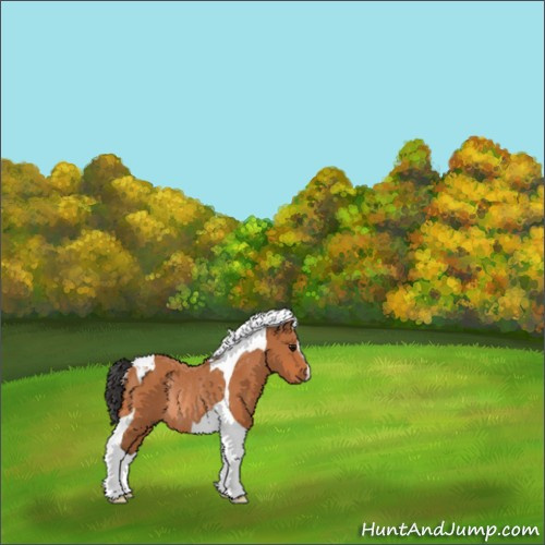 Horse Color:Bay Tobiano Rabicano 