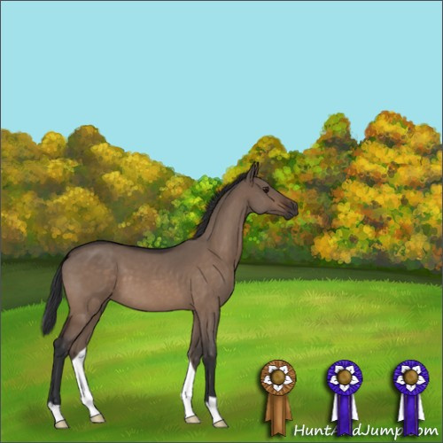 Horse Color:Brown Roan Dun 