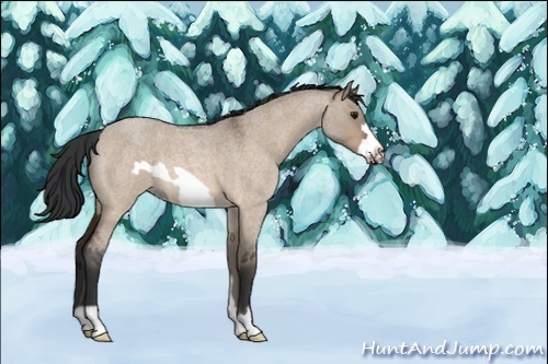 Horse Color:Brown Roan Dun Frame 