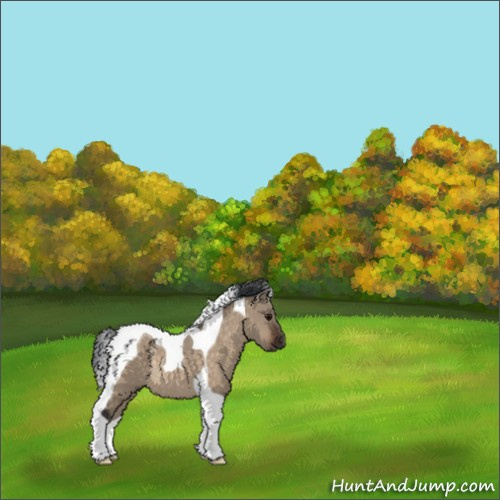 Horse Color:Brown Dun Tobiano Rabicano 