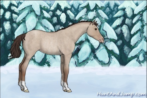 Horse Color:Classic Champagne Roan Dun Rabicano 